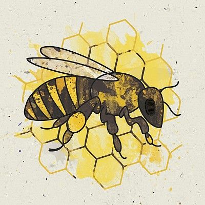 Grafika: Pszczoła miodna