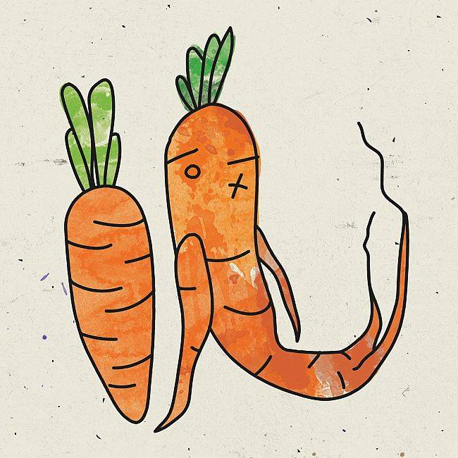 Skąd czerpać wiedzę