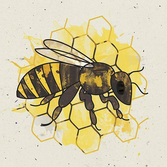 Skąd czerpać wiedzę